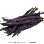 https://tongdomucvusuckhoe.net/wp-content/uploads/2012/06/2-150x150.png