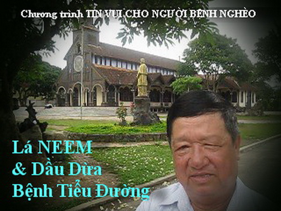 video chứng từ: Bệnh TIỂU ĐƯỜNG phòng chữa với DẦU DỪA + LÁ NEEM (nim)