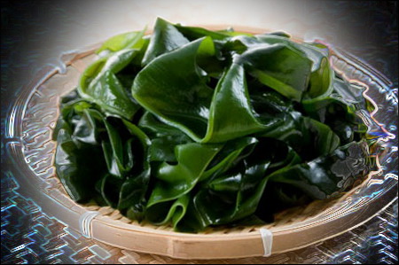 Chế độ ăn uống không chất nhầy (Mucusless Diet)