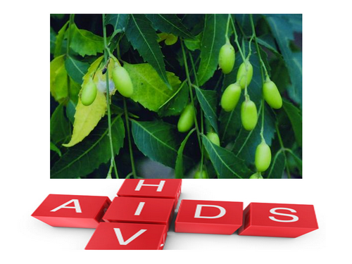 NEEM và bệnh AIDS [Neem: thông tin tổng hợp chuyển ngữ PHẦN II]