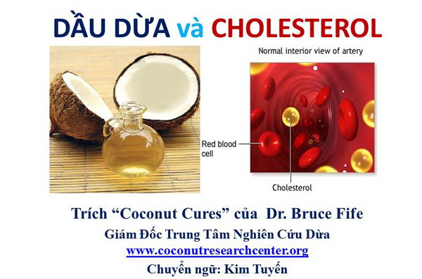 Dầu Dừa và Cholesterol