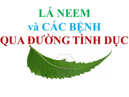LÁ NEEM và CÁC BỆNH QUA ĐƯỜNG TÌNH DỤC