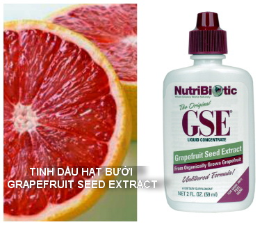Lợi ích của Tinh Dầu Hạt Bưởi – Grapefruit Seed Extract (GSE)