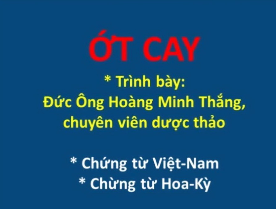 video dược tính của Ớt cay và 2 chứng từ sinh động từ Hoa-kỳ và Việt-nam