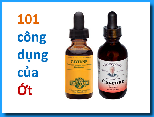 101 công dụng của ỚT – Trà ỚT chữa 6 bệnh linh mục Lý Văn Ca
