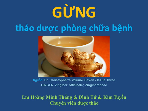 Gừng: thảo dược hiệu quả phòng chữa bệnh