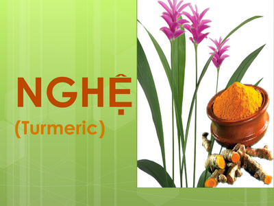 Nghệ và 20 lợi ích phòng chữa bệnh