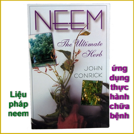 Liệu pháp nim (neem): ứng dụng thực hành chữa bệnh