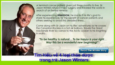 Tìm hiểu về 4 loại thảo dược trong trà Jason Winters