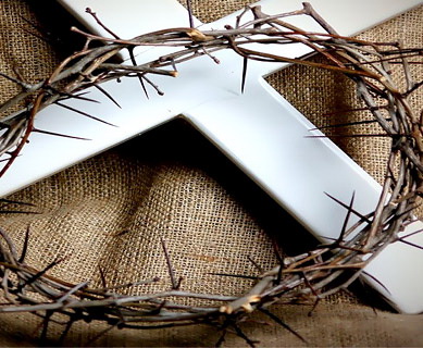 Thần-học Kinh-Thánh Veritas (THKTV từ 1 đến 15)