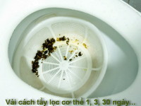 Vài cách tẩy lọc cơ thể 1, 3, 30 ngày…