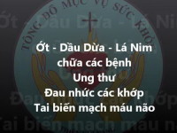 Chứng từ trà ớt, lá nim, dầu dừa của linh mục Micae Trịnh Ngọc Tứ