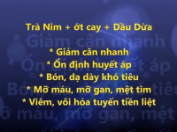 Video trà lá nim, Ớt cay, dầu dừa cải thiện tim mạch, mỡ máu, mỡ gan, dạ dày khó tiêu, thoái hóa cột sống, tiểu đêm, tiểu són