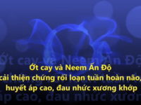 Ớt cay và Neem Ấn độ cải thiện chứng huyết áp cao, rối loạn tuần hoàn máu não, đau nhức xương khớp