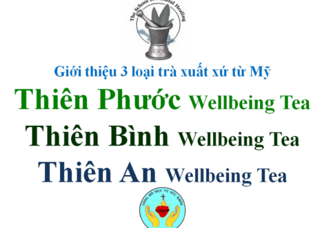 Giới thiệu 3 loại trà: THIÊN PHƯỚC Wellbeing Tea, THIÊN BÌNH wt, THIÊN AN wt