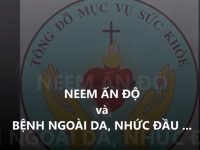 NEEM Ấn Độ và các bệnh ngoài da, nhức đầu …
