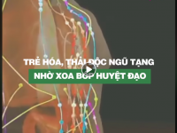 Trẻ hóa, thải độc ngũ tạng