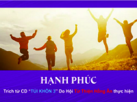 CD “TÚI KHÔN 3