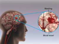 Cần Bảo Dưỡng Đệ Tứ Khoái